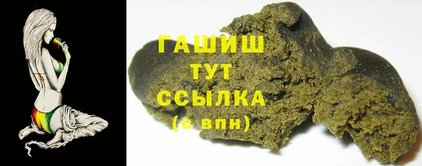 индика Слюдянка
