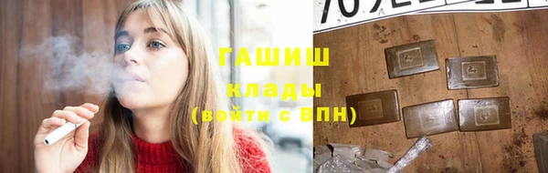 индика Слюдянка