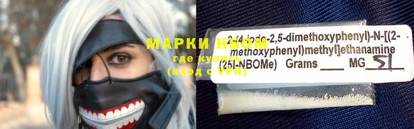 ПСИЛОЦИБИНОВЫЕ ГРИБЫ Верхний Тагил